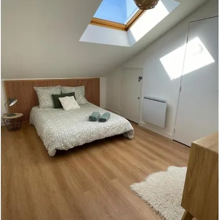 Apartment Grand Hypercentre Avec Terrasse Et Parking Poitiers