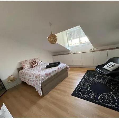 Apartment Grand Hypercentre Avec Terrasse Et Parking *