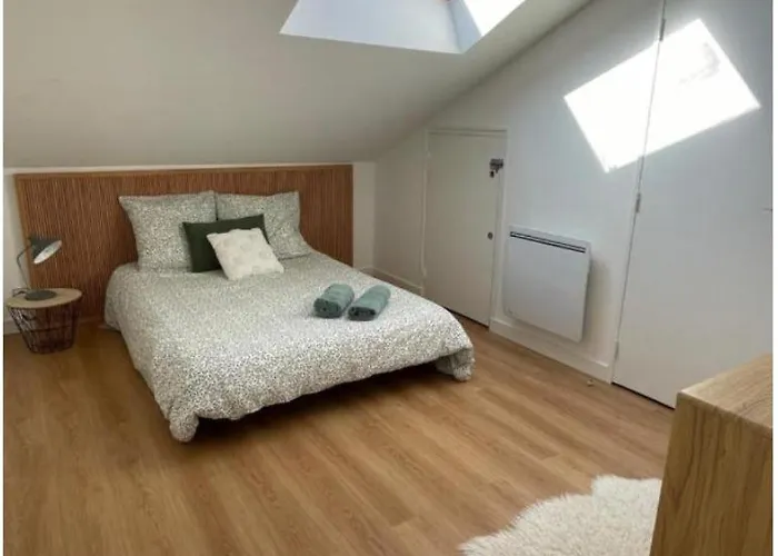 דירה Grand Hypercentre Avec Terrasse Et Parking פואטייה